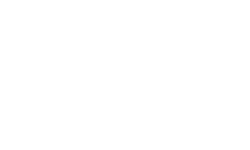 Leader Evolution
